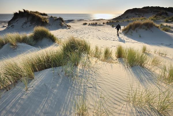 Heerlijk Vrijstaand Huis Aan De Duinen Burgh-Haamstede Bagian luar foto
